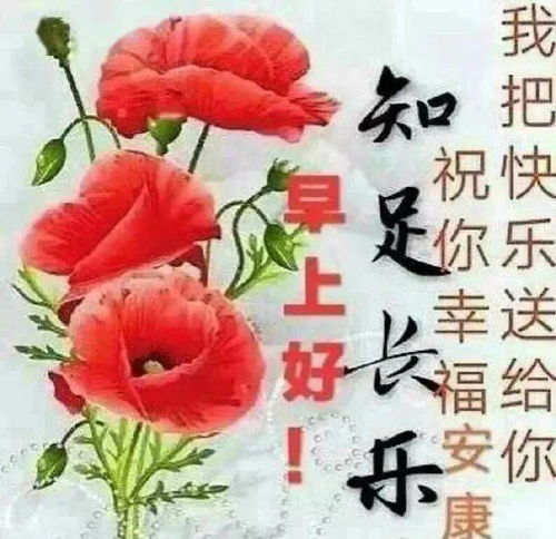 冬天好看的早上好问候语图片,知足常乐,愿一切顺心美好
