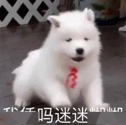 热门沙雕表情包能给我发20块钱红包买个月饼吗
