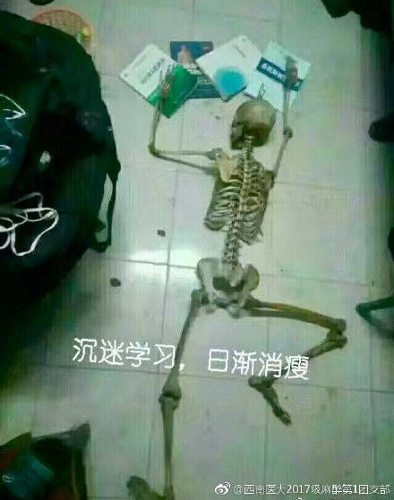 期末考试要来了,你知道医学生有多惨吗