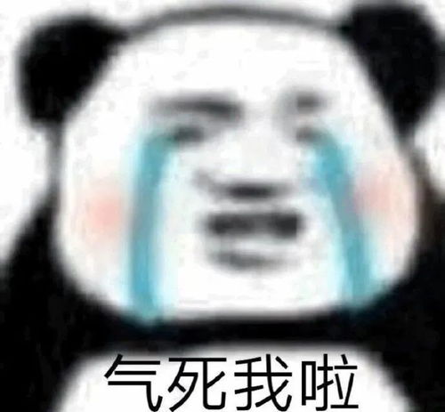 我为什么劝你不要在宿舍养猫
