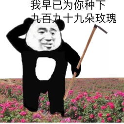 表情包我们都会考到自己理想的学校
