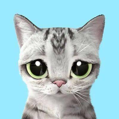 呆萌可爱猫咪宠物,大眼卡通喵星人汪星人