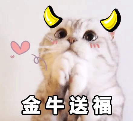 快保存最适合过年搞钱的99个猫表情包
