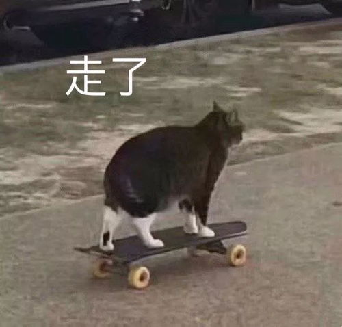 沙雕斗图表情包i你以为这样很好玩吗嗯