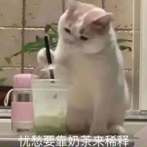 e句话给失恋的16岁女儿买花,这个爸爸好会
