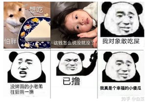 你们有哪些沙雕的表情包,让人一看就忍俊不禁的