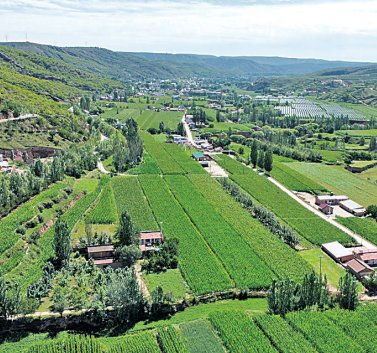 宁夏固原市原州区河川乡寨洼村山洼披锦花果飘香富农家