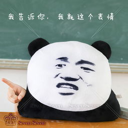 搞笑表情包熊猫抱枕张学友