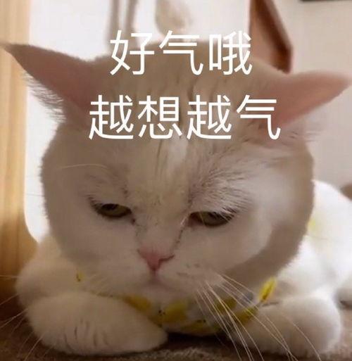 搞笑表情包更新我懂的,这就是生活