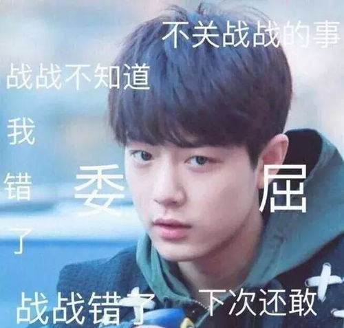 明星出圈表情包,肖战委屈,李汶翰疑惑,洪雨雷可爱