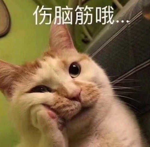 肖战是有多爱吃面包呀,每年同一天都要发小面包