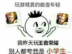 王者荣耀一键禁玩表情包搞笑版王者荣耀禁玩表情图片