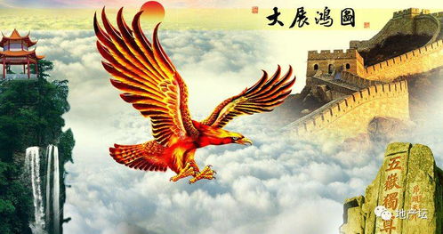 中老年头像大全高清大鹏展翅,大展宏图的微信头像壁纸