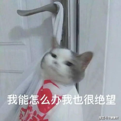 沙雕的表情包图片搞笑沙雕网友