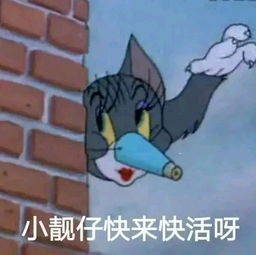 搞笑的表情包被吓到模糊