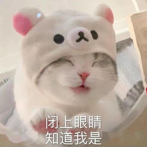 日常沙雕搞笑表情