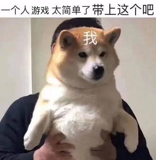 表情包动图表情包图片大全沙雕0716期
