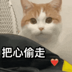 热热热雨雨雨宜春是要下开水吗