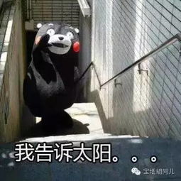 下大雨搞笑表情包表情包