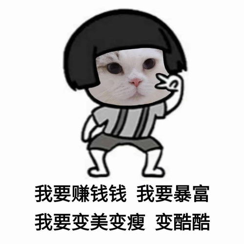 微信表情包动图你说的都对