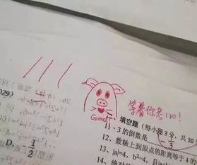 爆笑广西一中学表情包试卷走红网络,这样的试卷请给我来一打