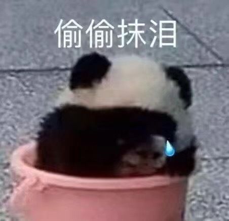 朋友圈会被秒赞的搞笑文案