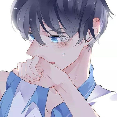 看收藏夹