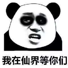 老司机吃鸡斗图表情包下载飞翔下载