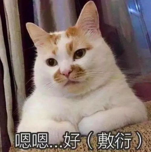 各省市报名确认时间出炉部分地区10月底就截止