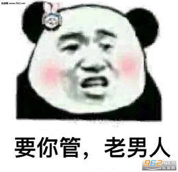 聊天结束丢手雷表情图片暴走熊猫怼人表情包下载乐游网游戏下载