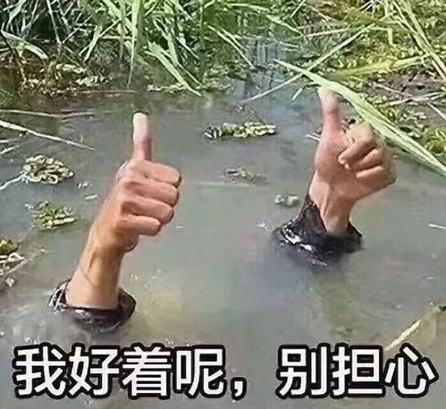 不如我们一起来靠写朋友圈文案发家