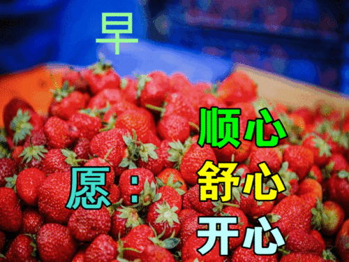 2022年早安祝福语动态表情图片,唯美的微信早上好问候图片