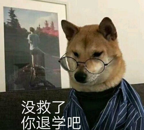 让人特别开心的搞笑图片