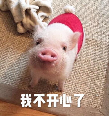 幽默笑话三岁儿子学爷爷说话,爸爸纠正之后说的更逗了