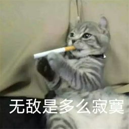 搞笑的动物表情包表情包