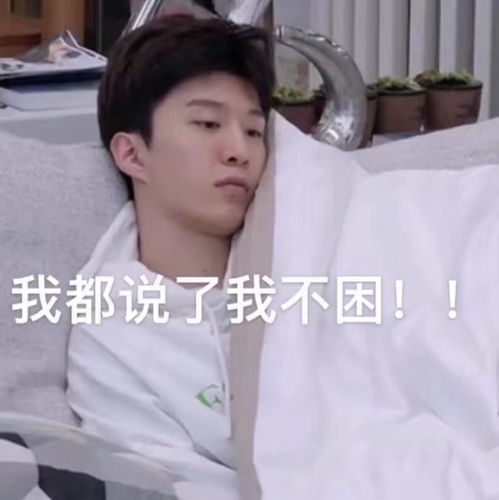 精彩帅气气又搞笑的范丞丞丨表情包