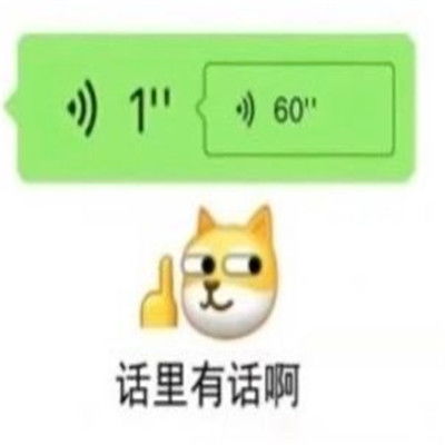 很好玩的微信对话框聊天文字表情有些话不能明说