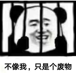 15条比段子还好笑的沙雕新闻,第一条就笑喷了哈哈哈哈哈哈哈