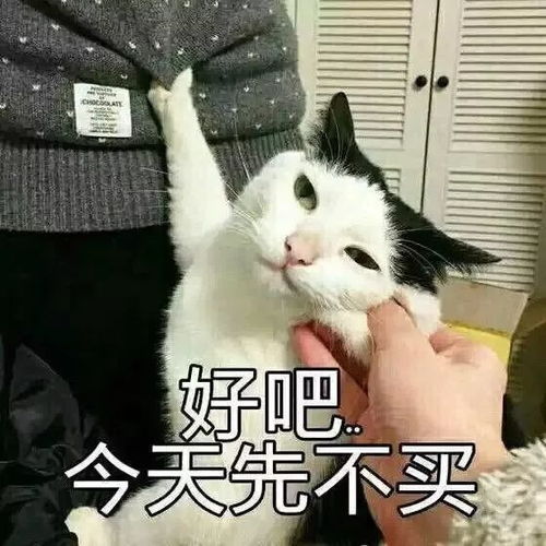 生活大爆炸来自双十一的祝福笑