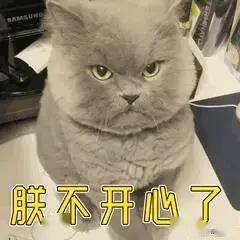 猫拿jio踩我脸的姿势,真是帅呆了