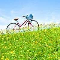 花景图微信头像微信头像图片大全
