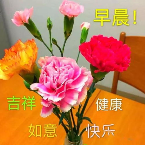 4月26日最漂亮早上好动态表情图片大全,早晨好动图美图大全