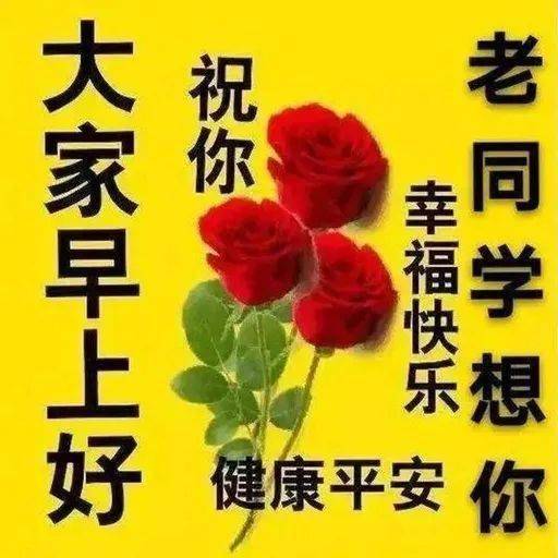 老同学早上好表情包,送你一个甜甜的笑容,我们一起向快乐出发