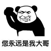 大哥系列表情包搞笑带字大哥大哥您永远是我大哥