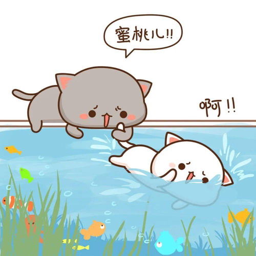 蜜桃猫情头