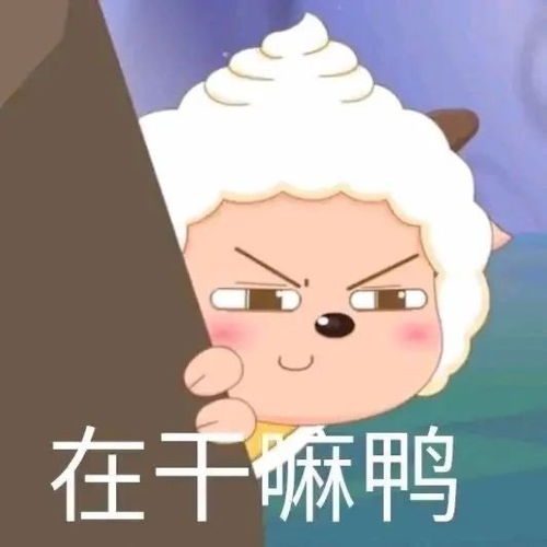 搞笑表情包更新啦