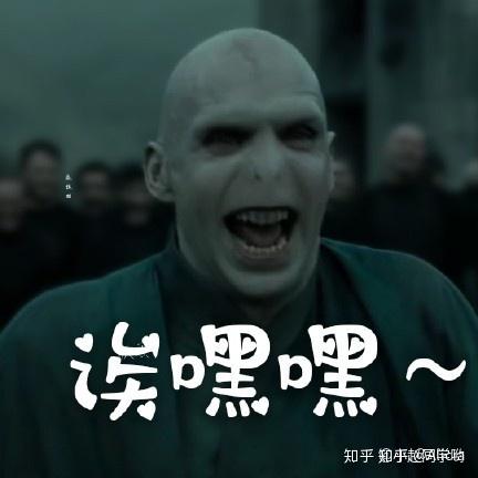 伏地魔表情包