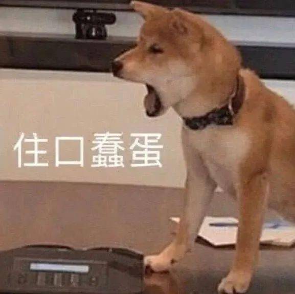 小情侣互怼表情包两只耳朵都听见了