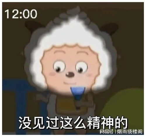 聊天必备表情包335可爱搞怪沙雕表情包