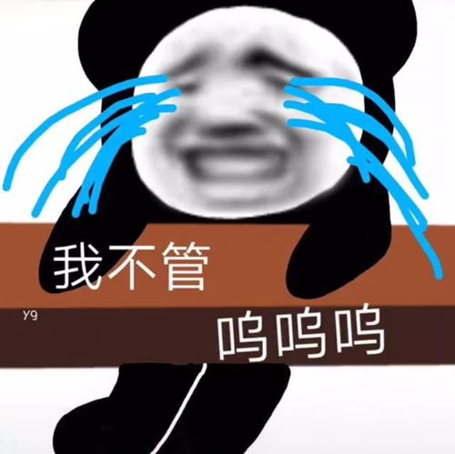 抱歉没有熊猫头我无法聊天